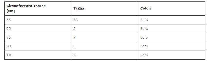 Serse elastico - Raddrizzaspalle