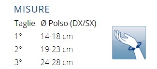 PHYLO 12 - Polsiera rigida