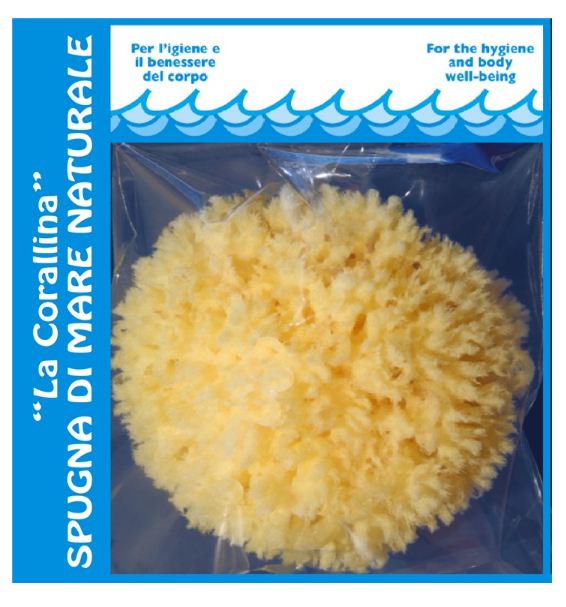 SPUGNA DI MARE PER ADULTI EXTRA LARGE - 12 cm