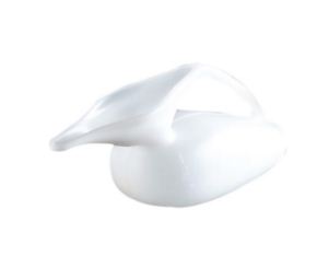 PAPPAGALLO DONNA
 - Sanitari 